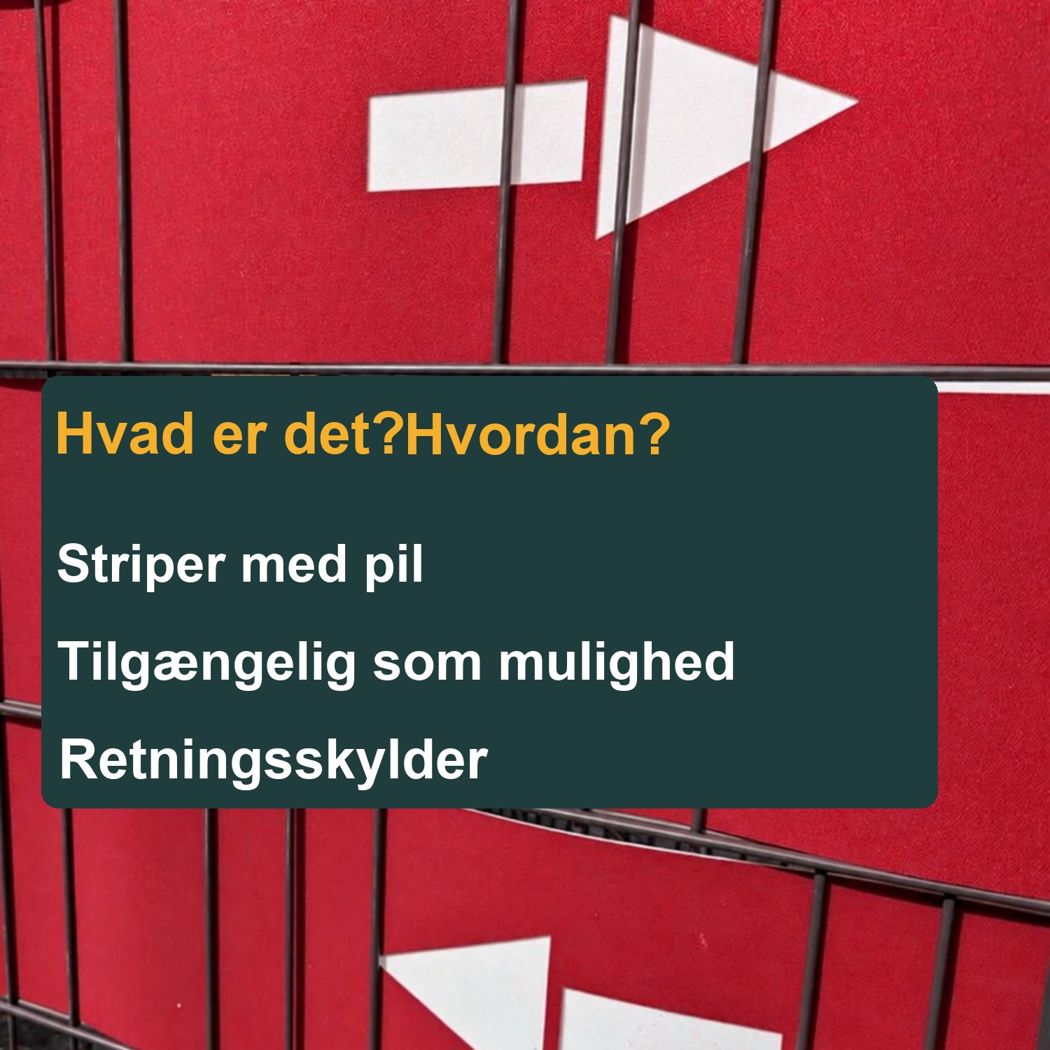 afskærmningsstrimler med laserskrift: WUNSCHTEXT – Udtalelse 4