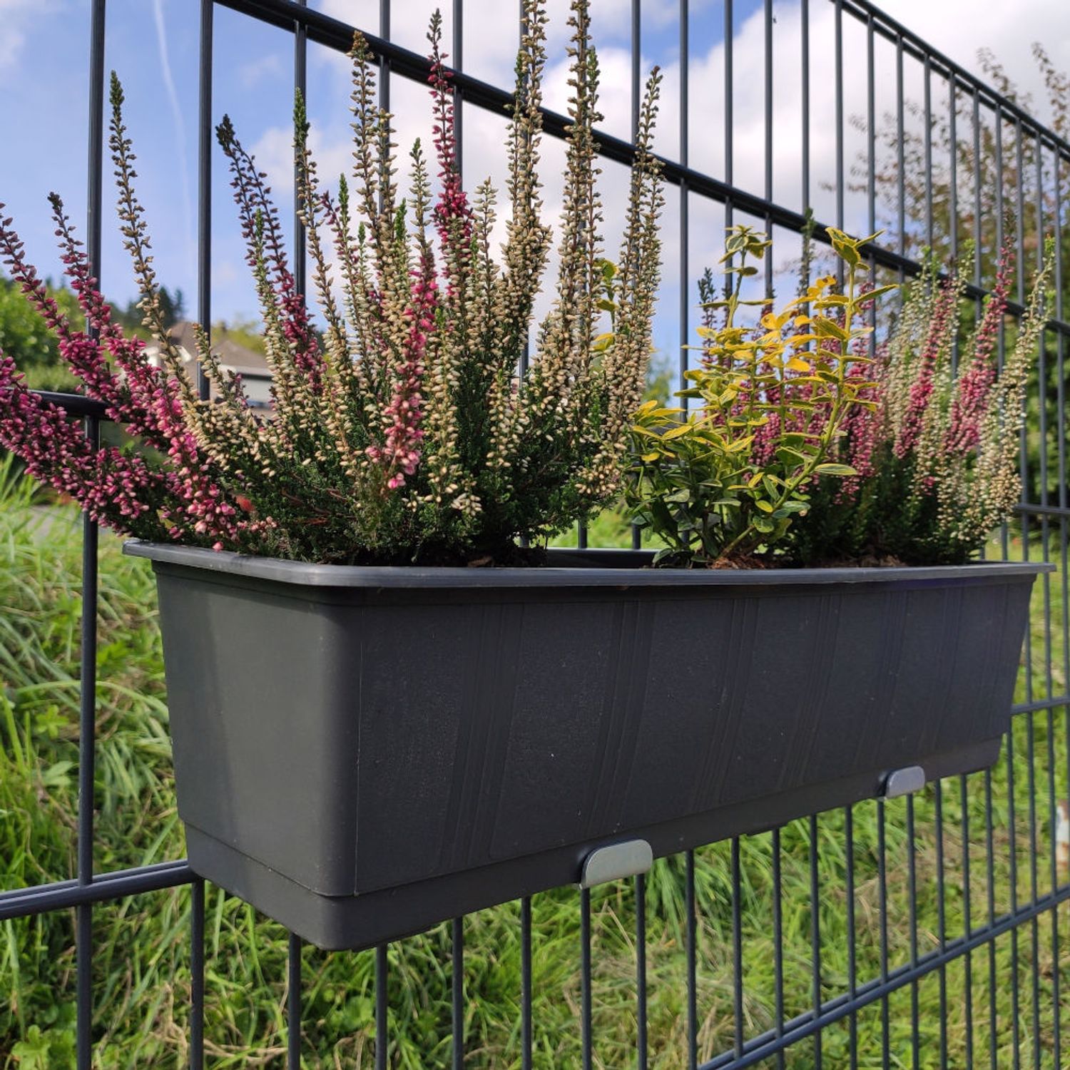ZAUNIVERSUM Porte boîte à fleurs – 4,0 cm, - galvanisé – Affichage 4