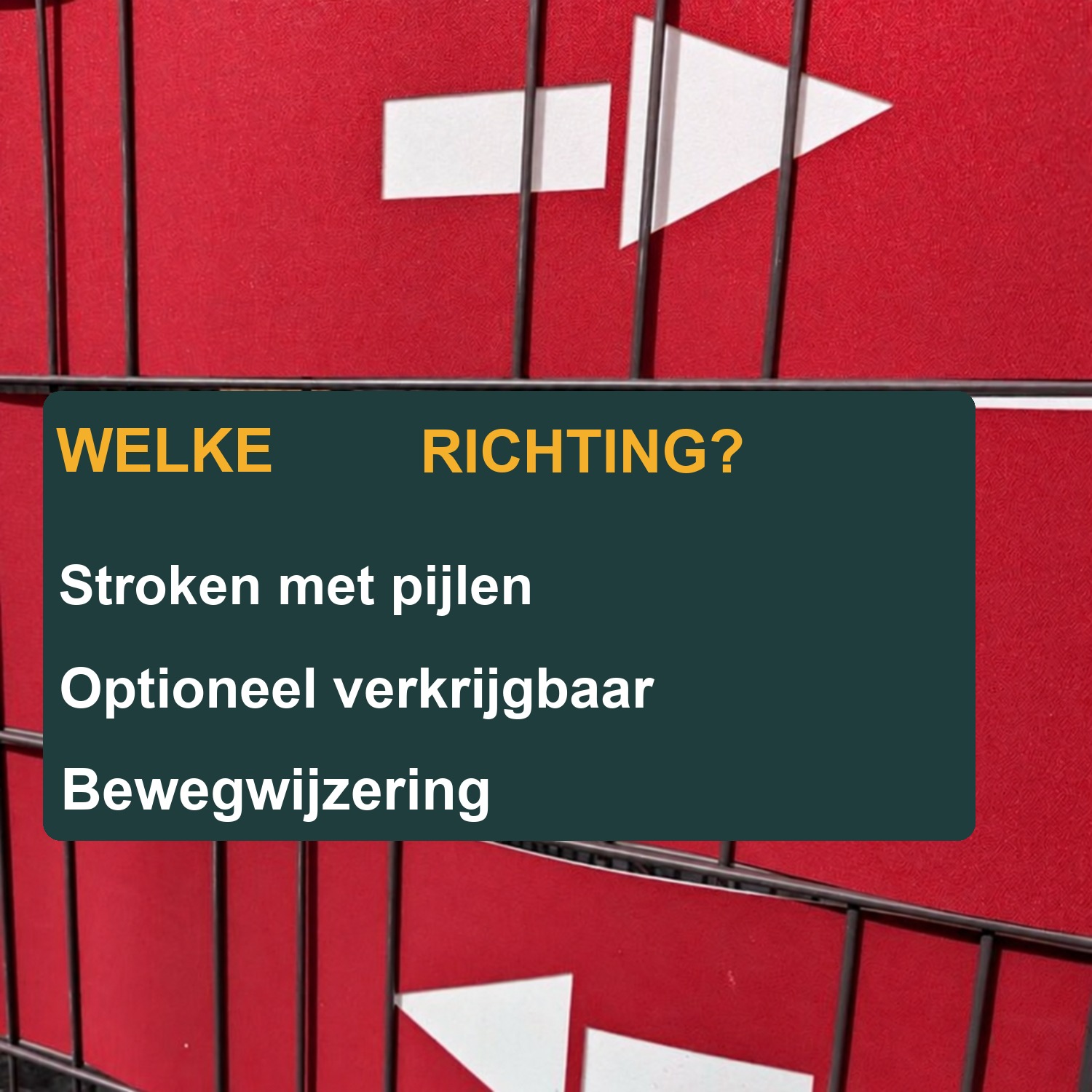 zichtstroken met laser-cut letters woordgroep: Entry / Exit - Verschillende termen om uit te kiezen – Beeld 4